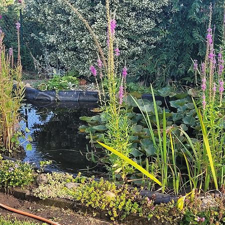 Ferienhaus Gika Schwaan ภายนอก รูปภาพ